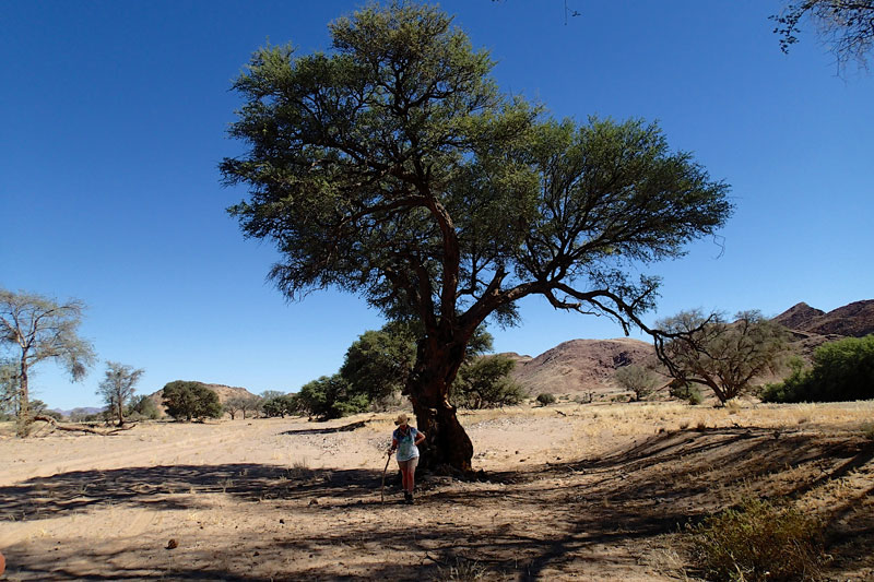 Namibia